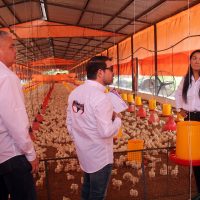 Gobernador Rafael Lacava anunció la ejecución del proyecto “Impulso a la producción avícola en el estado Carabobo”, desde La granja La Colina en el municipio San Joaquín. Foto: Prensa Gobernación de Carabobo