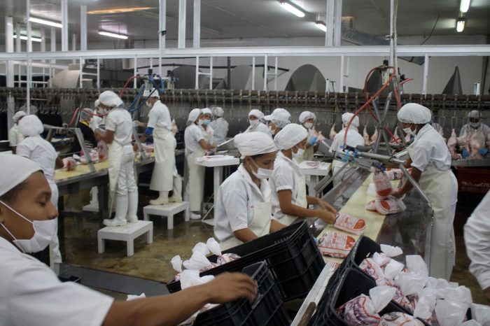 Un total de 160 trabajadores laboran en la empresa avícola Guacara Foto: Prensa Gobernación de Carabobo