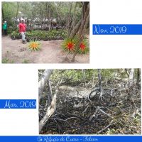 En el sector Tocuyo de La Costa: Una apuesta del sector privado por recuperar el turismo en Venezuela Fotos Prensa Especial